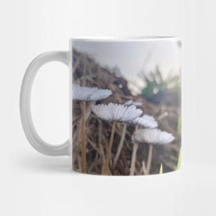 Mushrooms Mug